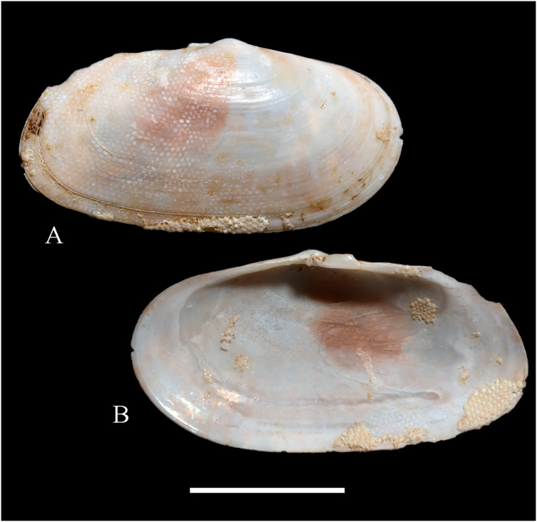 Figure 18