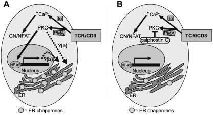 Fig. 8