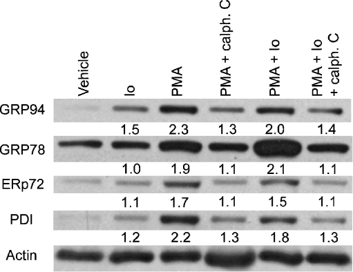 Fig. 7