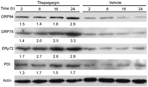 Fig. 1