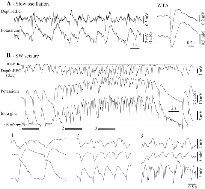 Fig. 12.