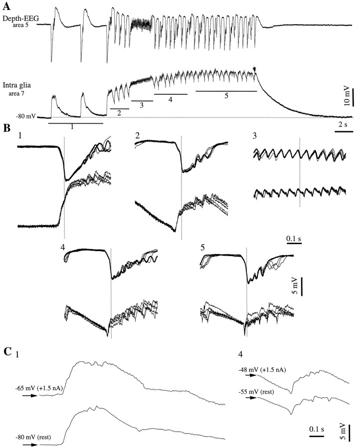 Fig. 9.