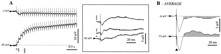 Fig. 11.