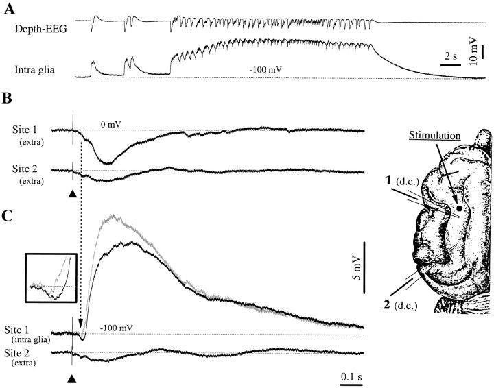 Fig. 2.