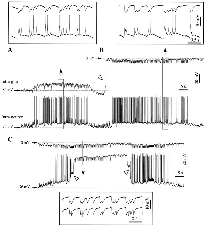 Fig. 5.