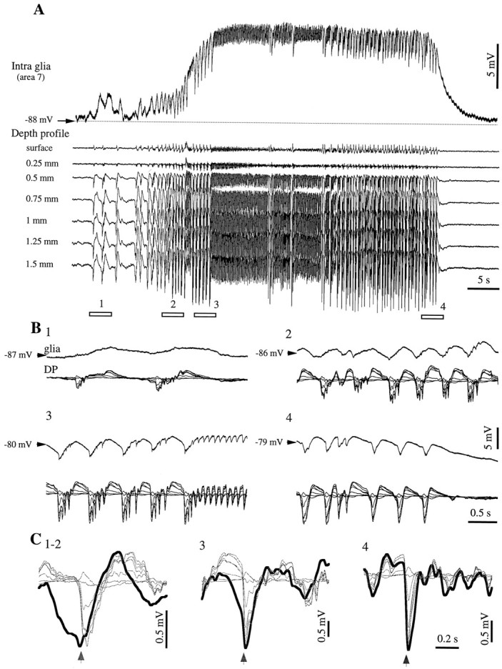 Fig. 13.