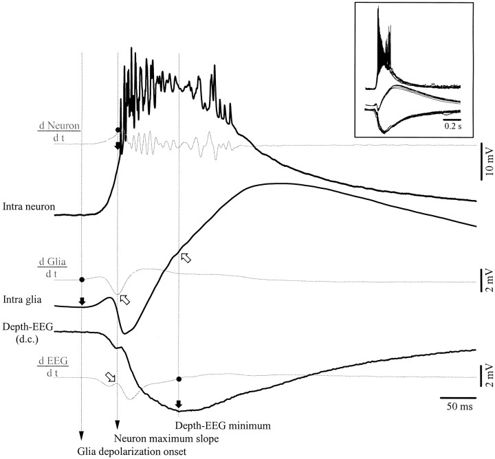 Fig. 8.