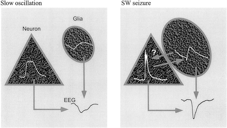 Fig. 14.