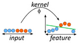 graphic file with name metabolites-10-00243-i003.jpg