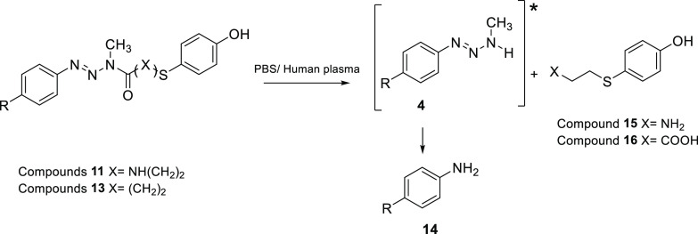 Scheme 2