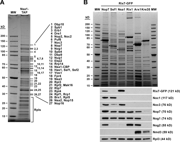 Figure 2.