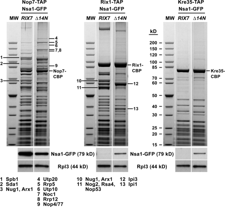 Figure 6.