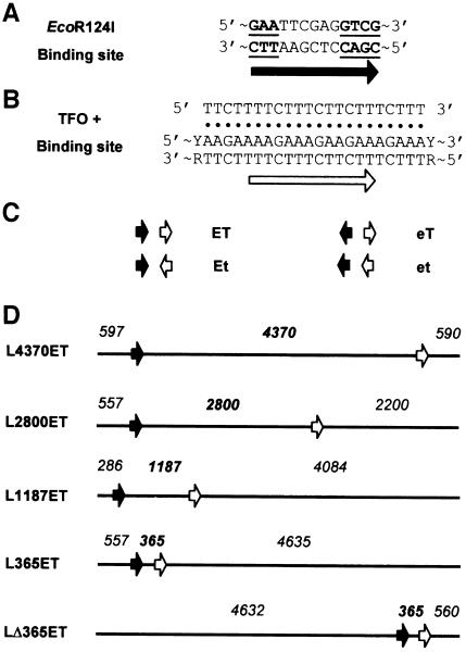 graphic file with name cdd203f1.jpg