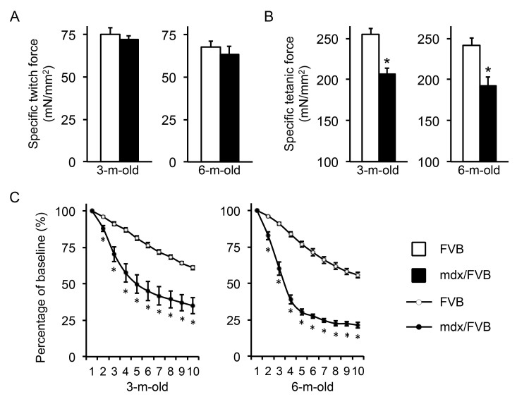 In situ analysis of the contractile properties of the tibialis anterior (TA) muscle in FVB and mdx/FVB mice. 