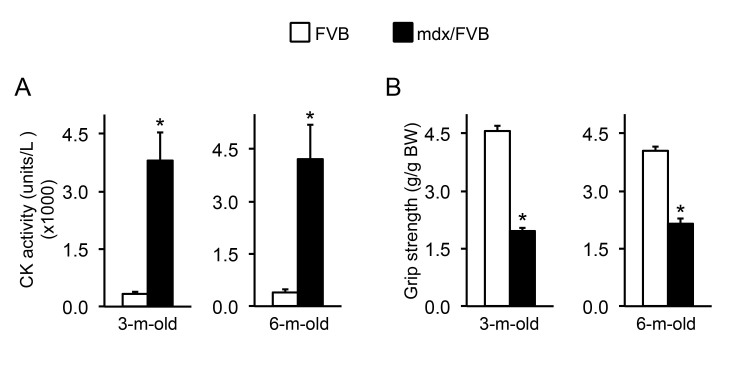 Serum creatine kinase (CK) and forelimb grip in FVB and mdx/FVB mice. 