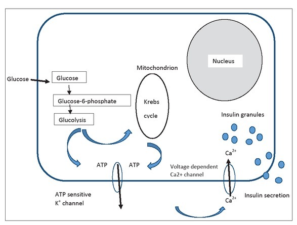 Figure1