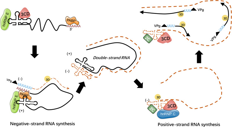 Figure 4