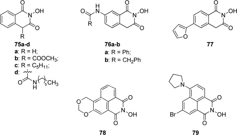 Fig. 19