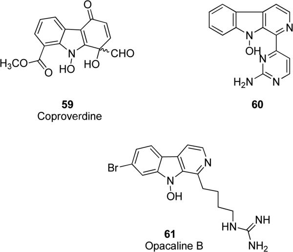 Fig. 15