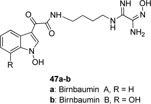 Fig. 13