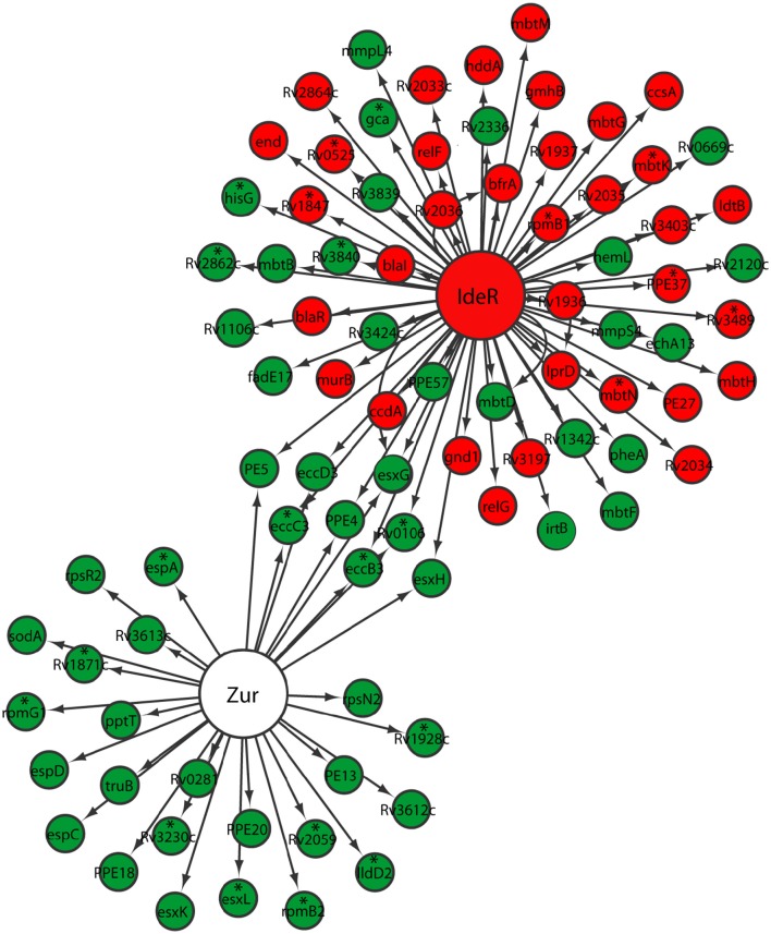 Figure 4