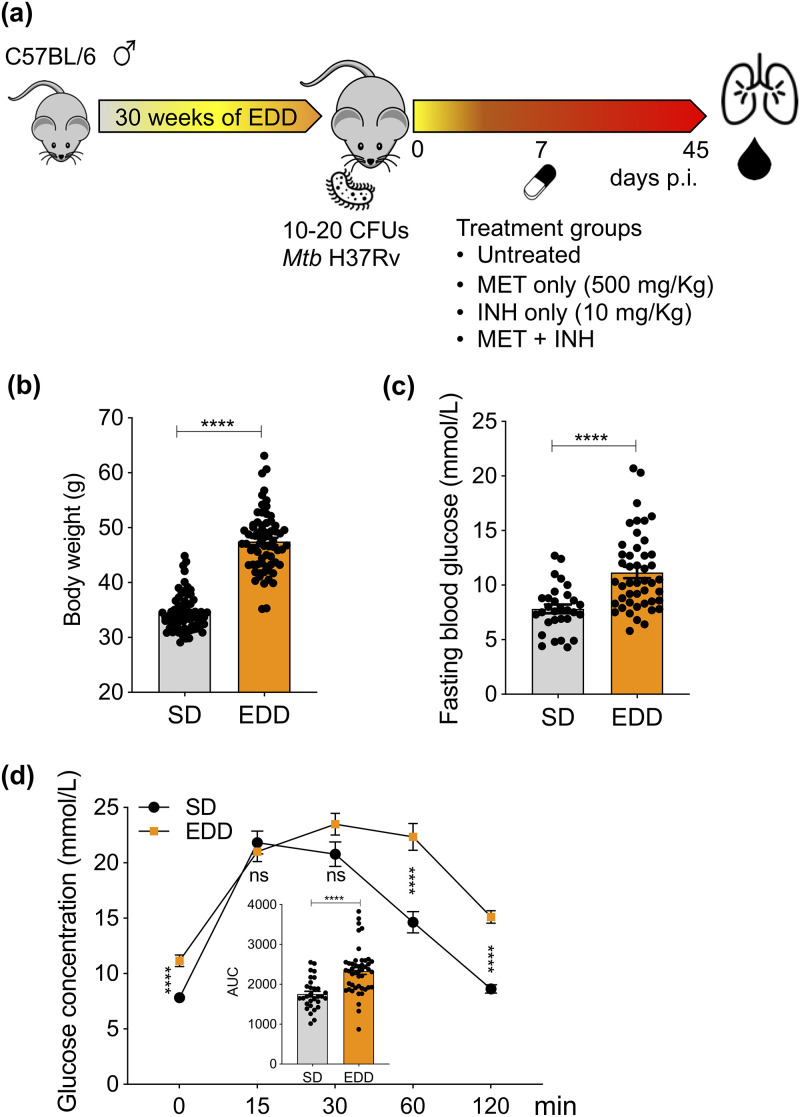 FIG 1