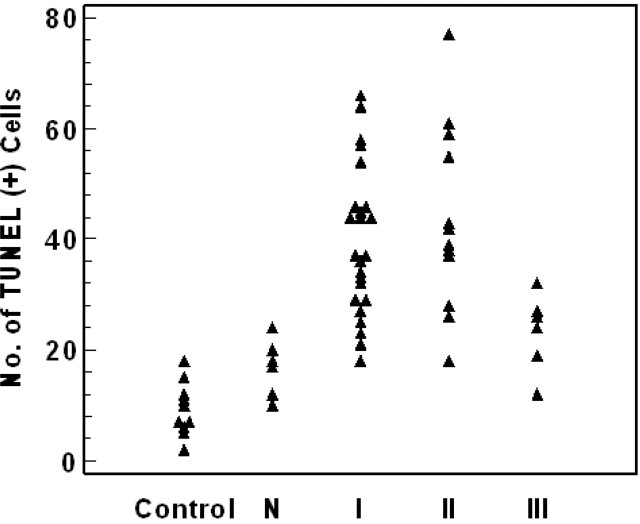 Fig 4.