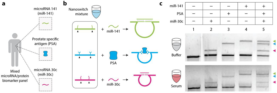 Figure 5.