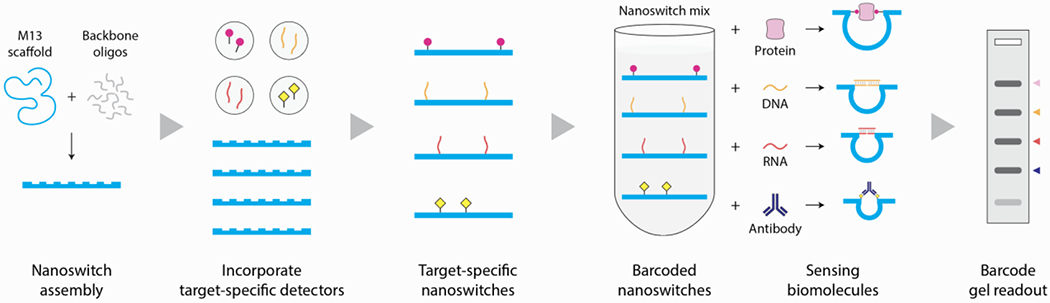 Figure 1.