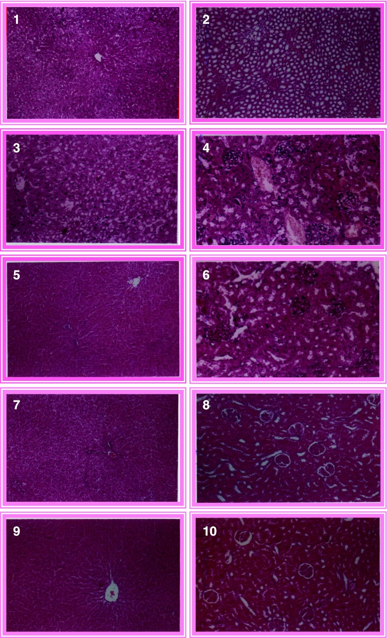 Figs. 1–10