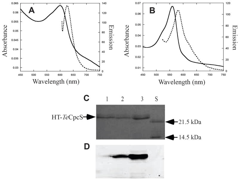 Fig. 5