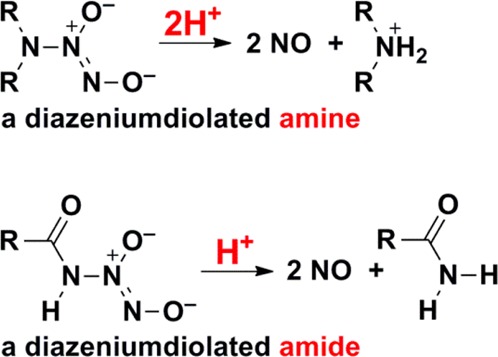 Scheme 5