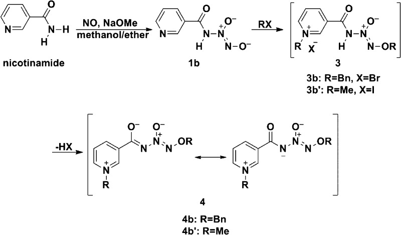 Scheme 3