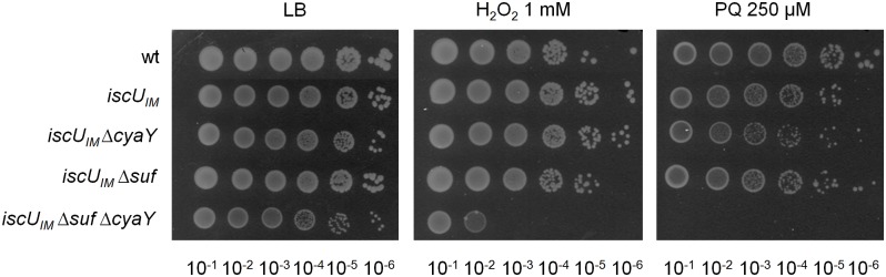 Fig 3