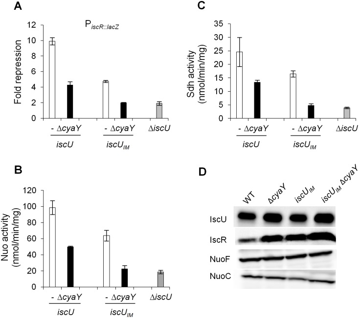 Fig 4