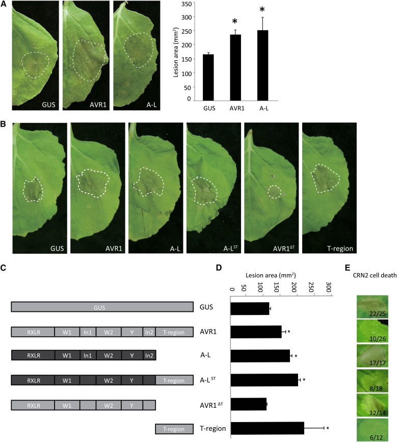 Figure 1.