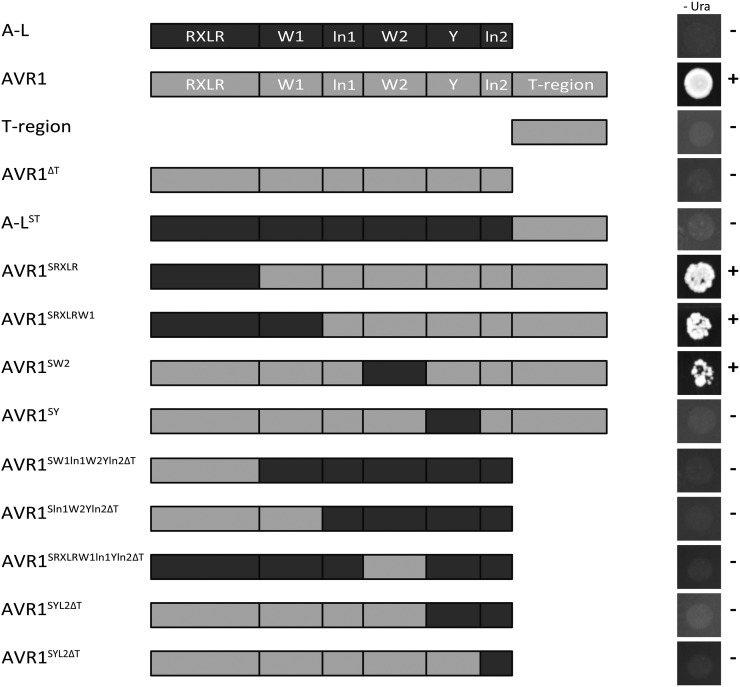 Figure 3.