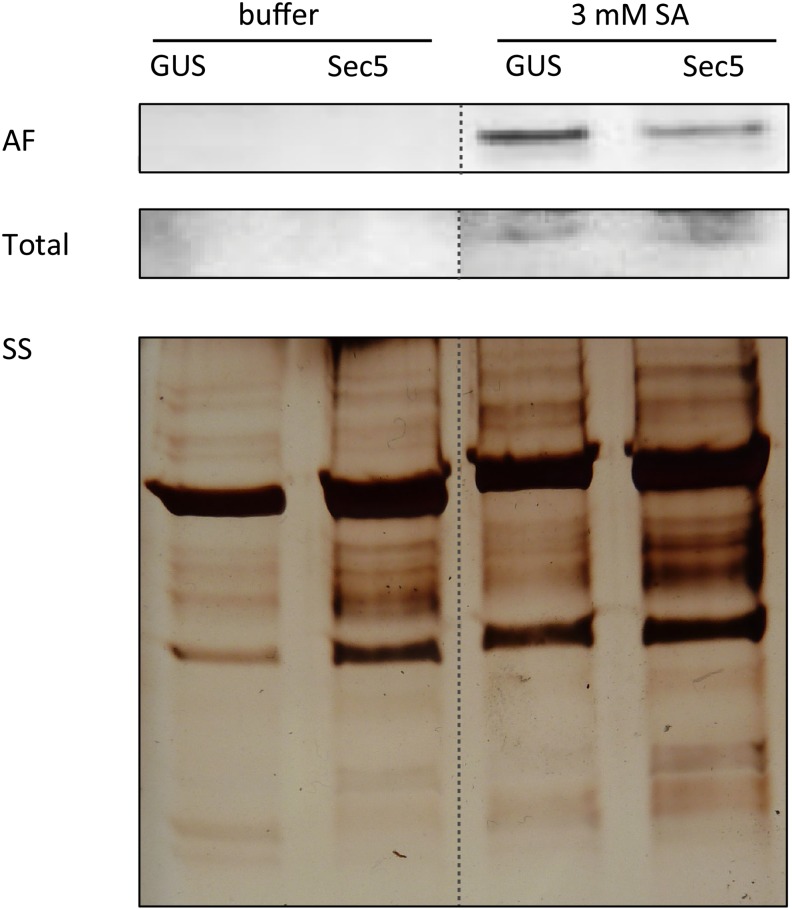 Figure 6.