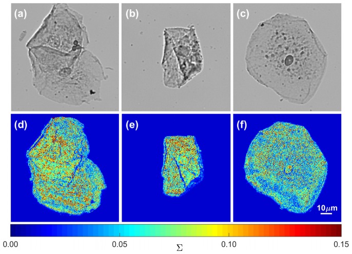 Fig. 3