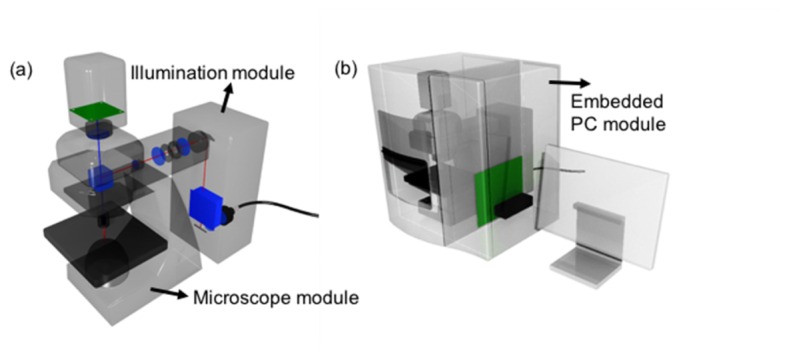 Fig. 7