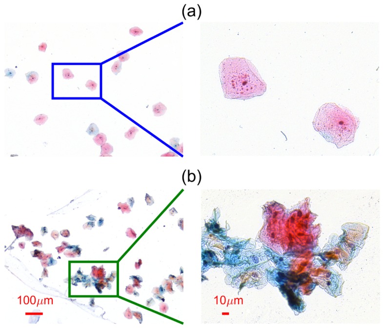 Fig. 5