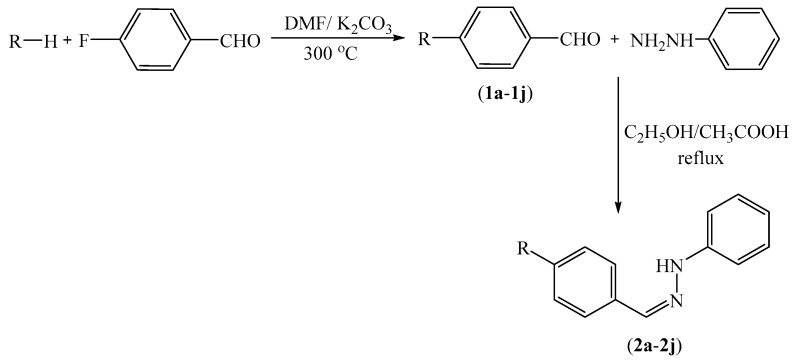 Scheme 1