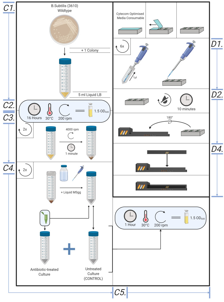 Figure 6.