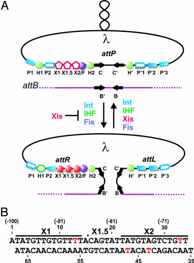 Fig. 1.