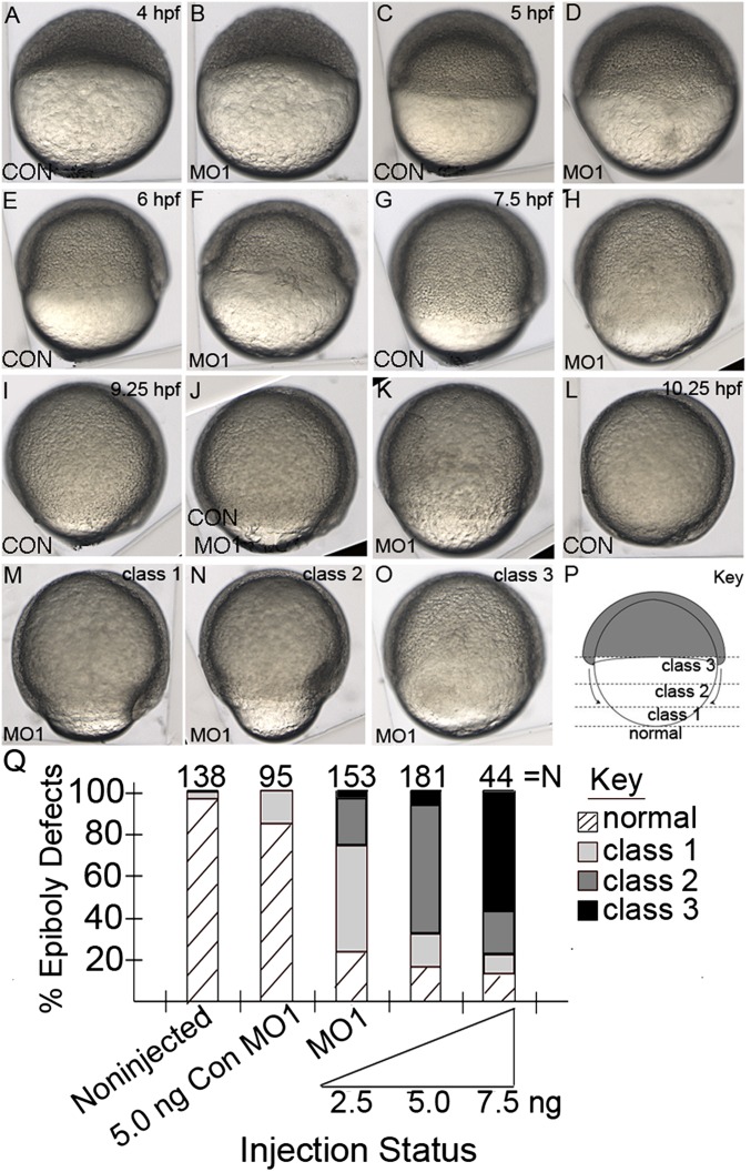 Fig.3.