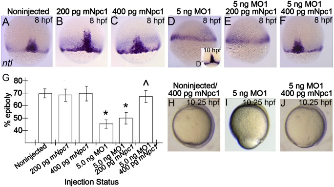 Fig.4.