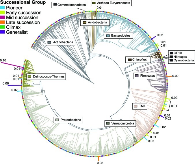 FIG 6 