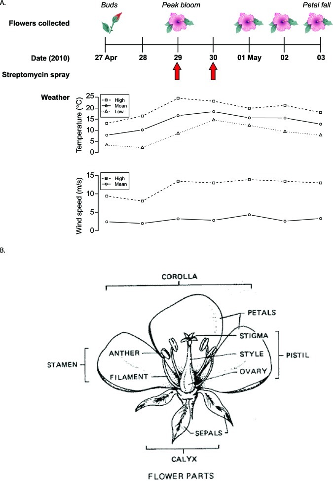 FIG 1 