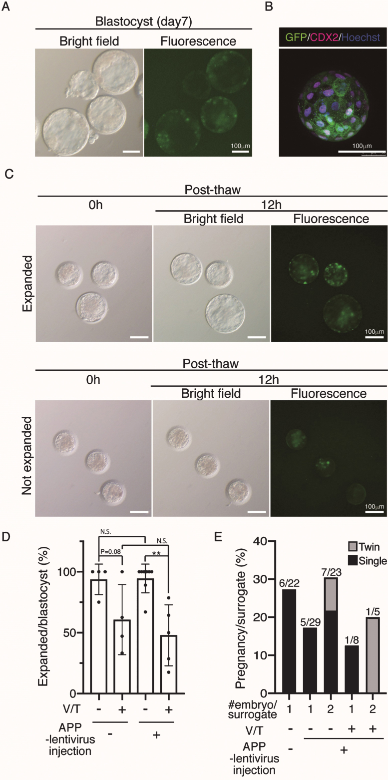 Fig.2