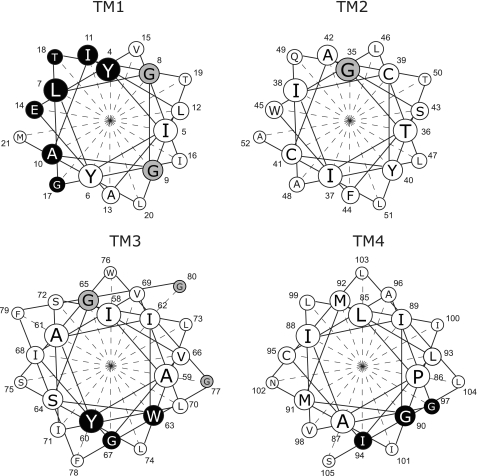 FIGURE 7.